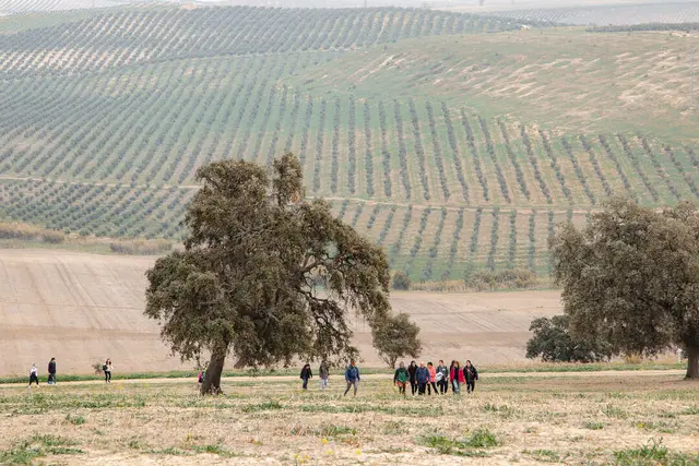 La ruta Montilla-Moriles recibe un premio por su apuesta sostenible