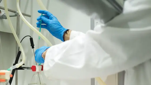 La Universidad de Alicante destaca en el ranking mundial de citas científicas