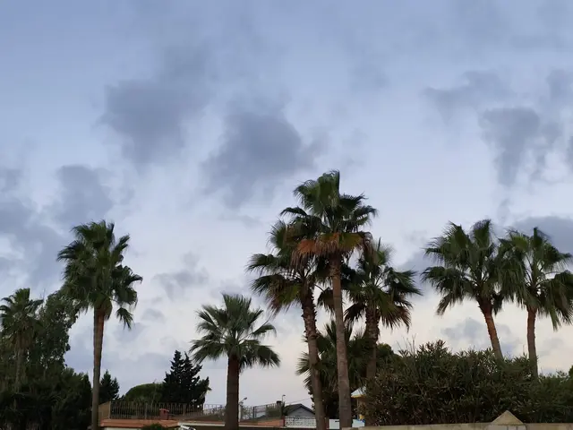 Vinaròs podría tener lluvia desde el sábado por la tarde