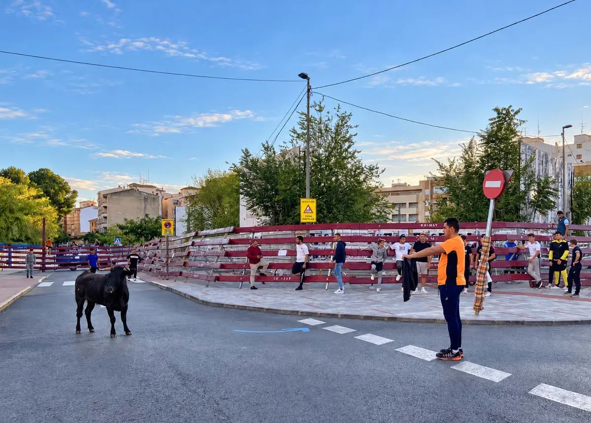 Los festejos de San Rafael sumarán encierro infantil y suelta de reses en Hellín