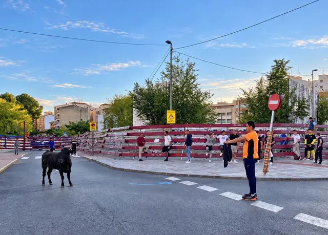Los festejos de San Rafael sumarán encierro infantil y suelta de reses en Hellín
