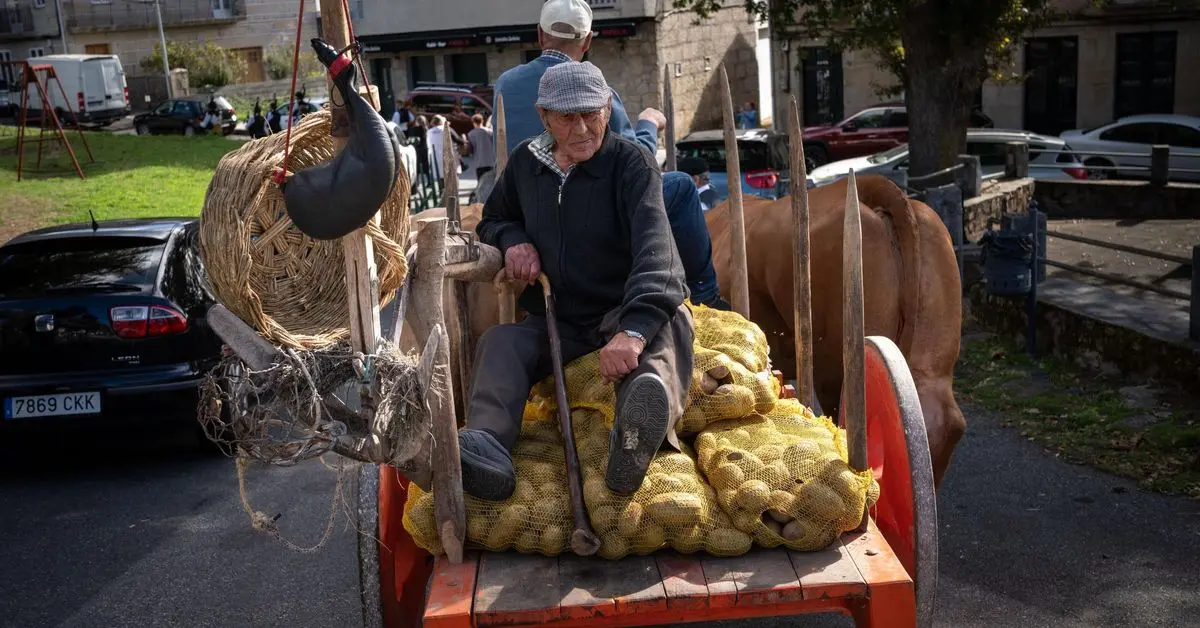 Desfiles y tradición ponen en valor la patata en Vilar de Barrio