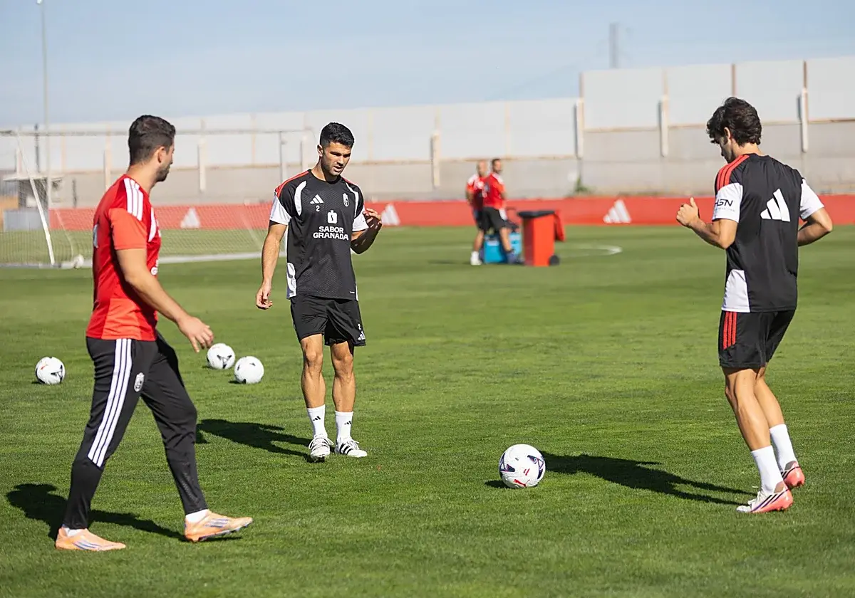 Lizoain se ausenta del entrenamiento del Granada CF