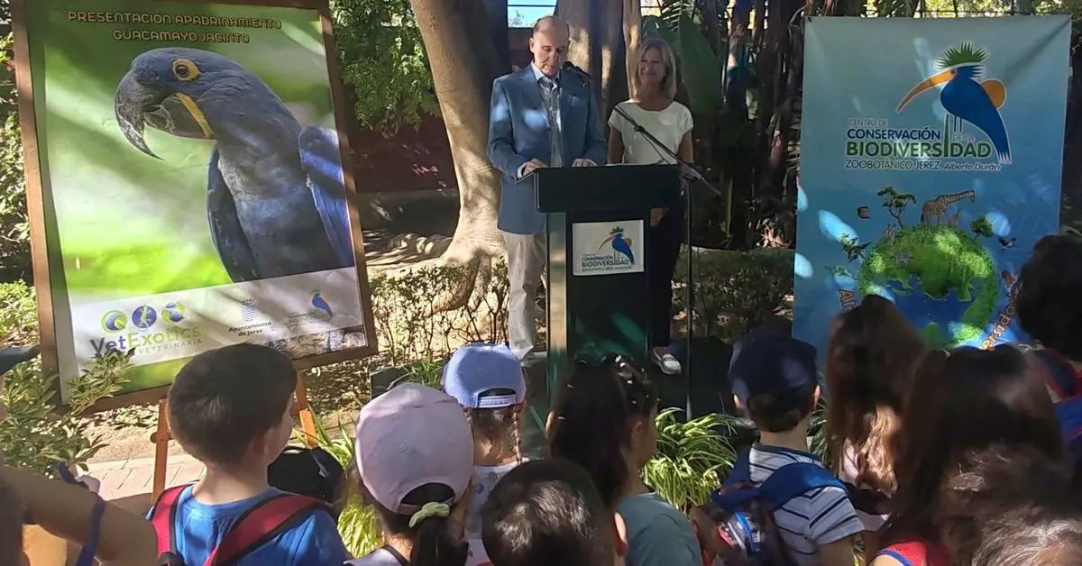El guacamayo jacinto del Zoo de Jerez suma un padrino para su protección