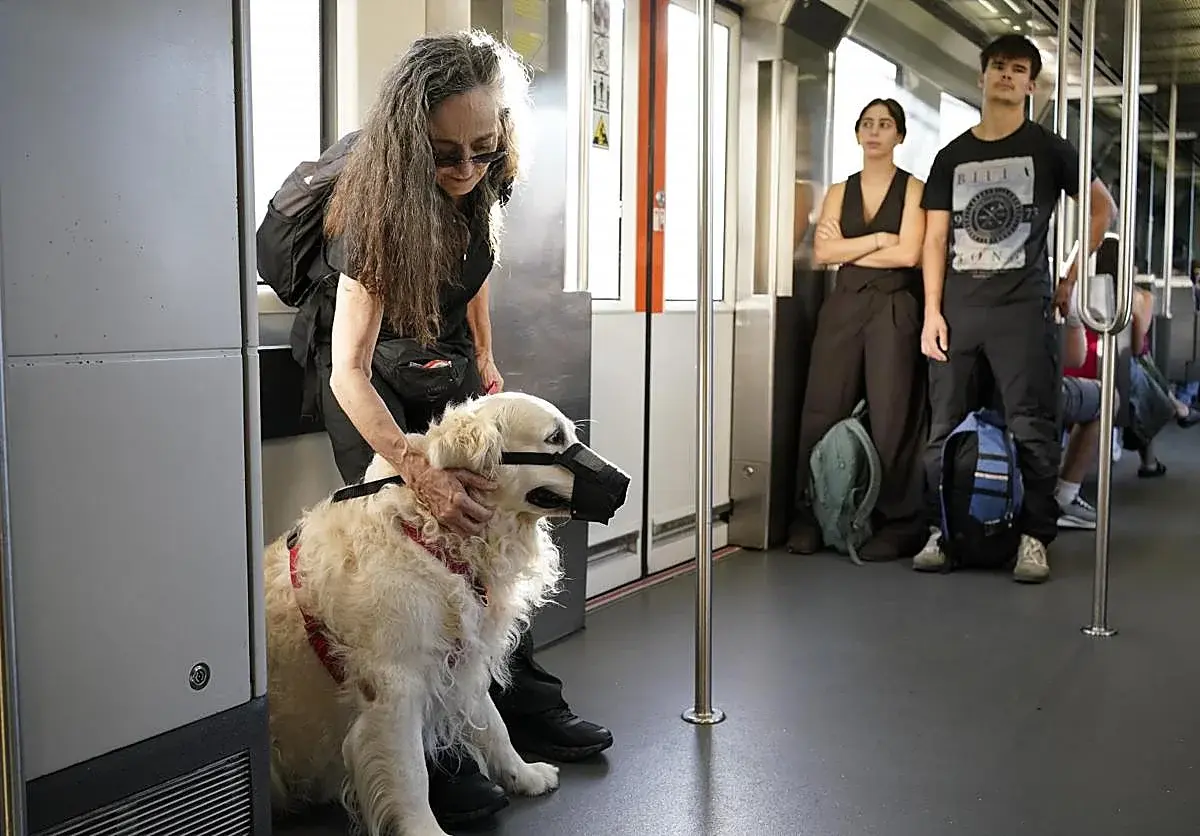 Shasa estrena los viajes en metro para perros grandes