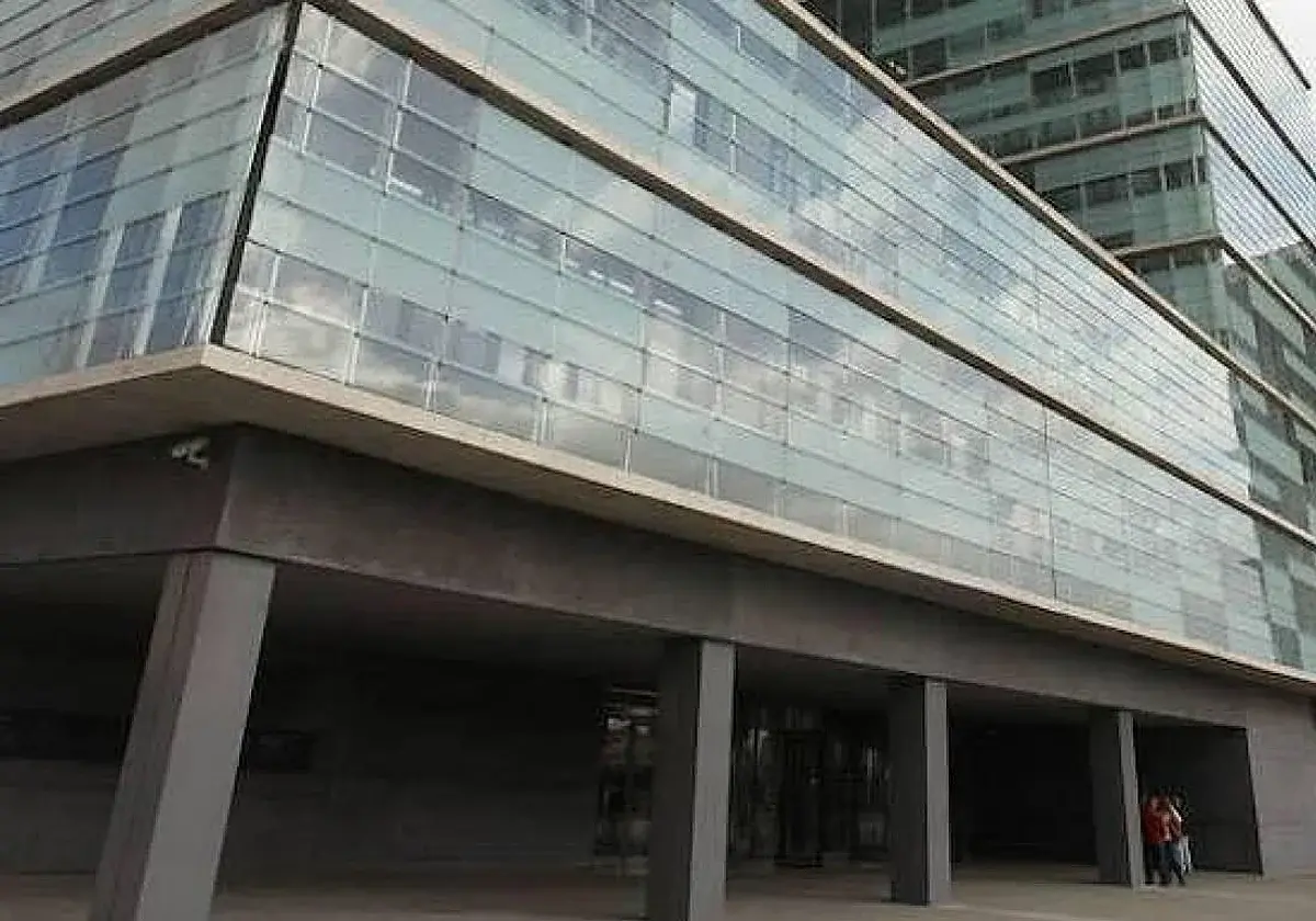 La nueva plataforma digital ralentiza trámites municipales en Málaga