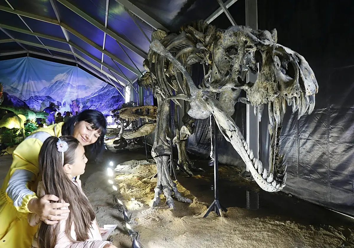 Réplicas de dinosaurios y fósiles llegarán al recinto ferial de Gijón