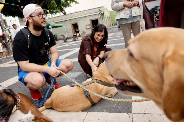 Vegueta pone el foco en la adopción y la tenencia responsable de mascotas