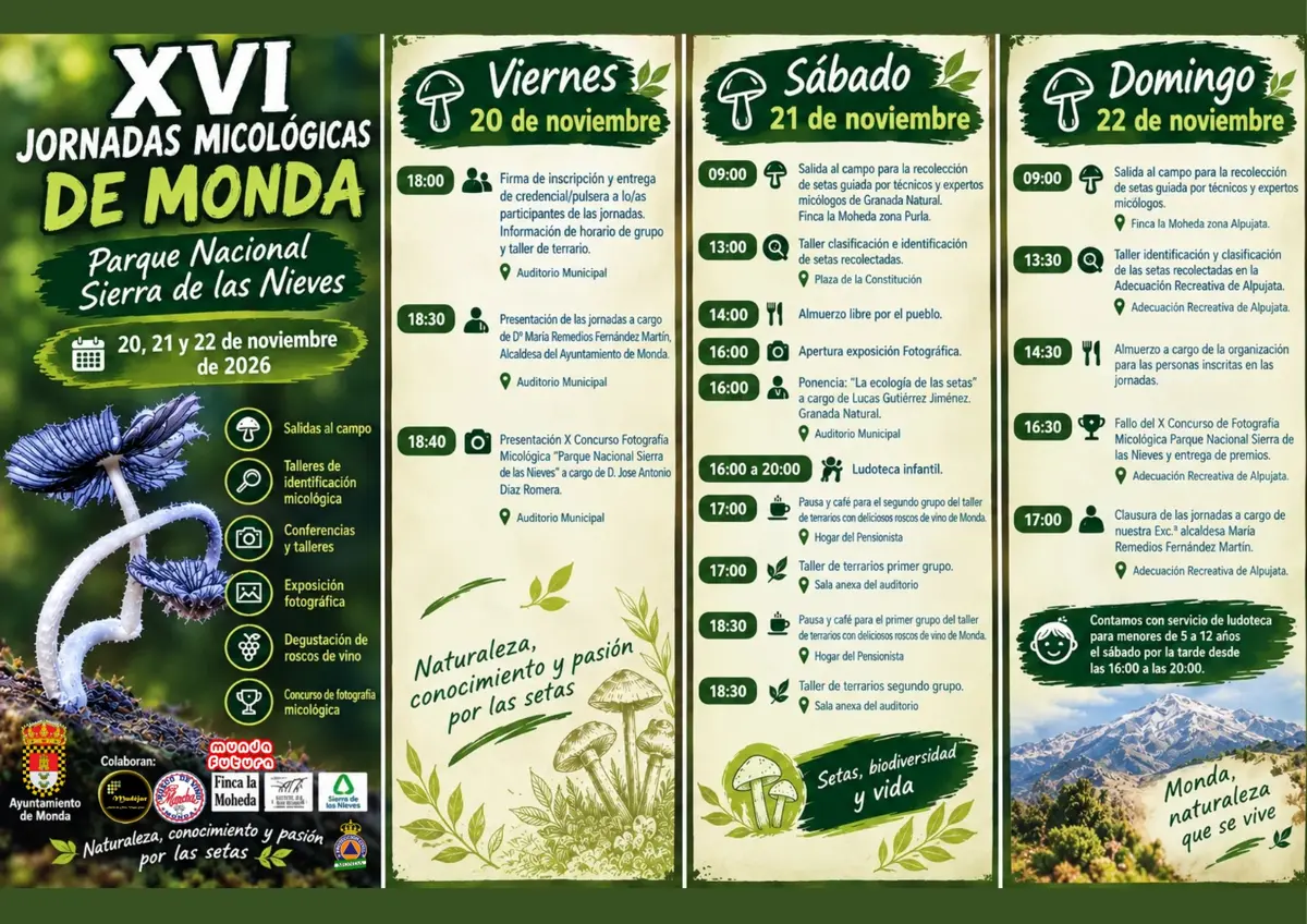 Monda prepara tres días dedicados a las setas y la micología