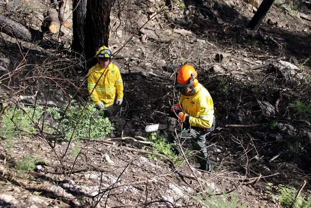 Carme inicia trabajos forestales urgentes en el área afectada por el incendio