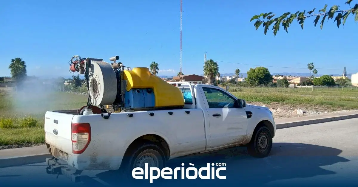 Almassora refuerza el control de mosquitos después de las lluvias y el calor