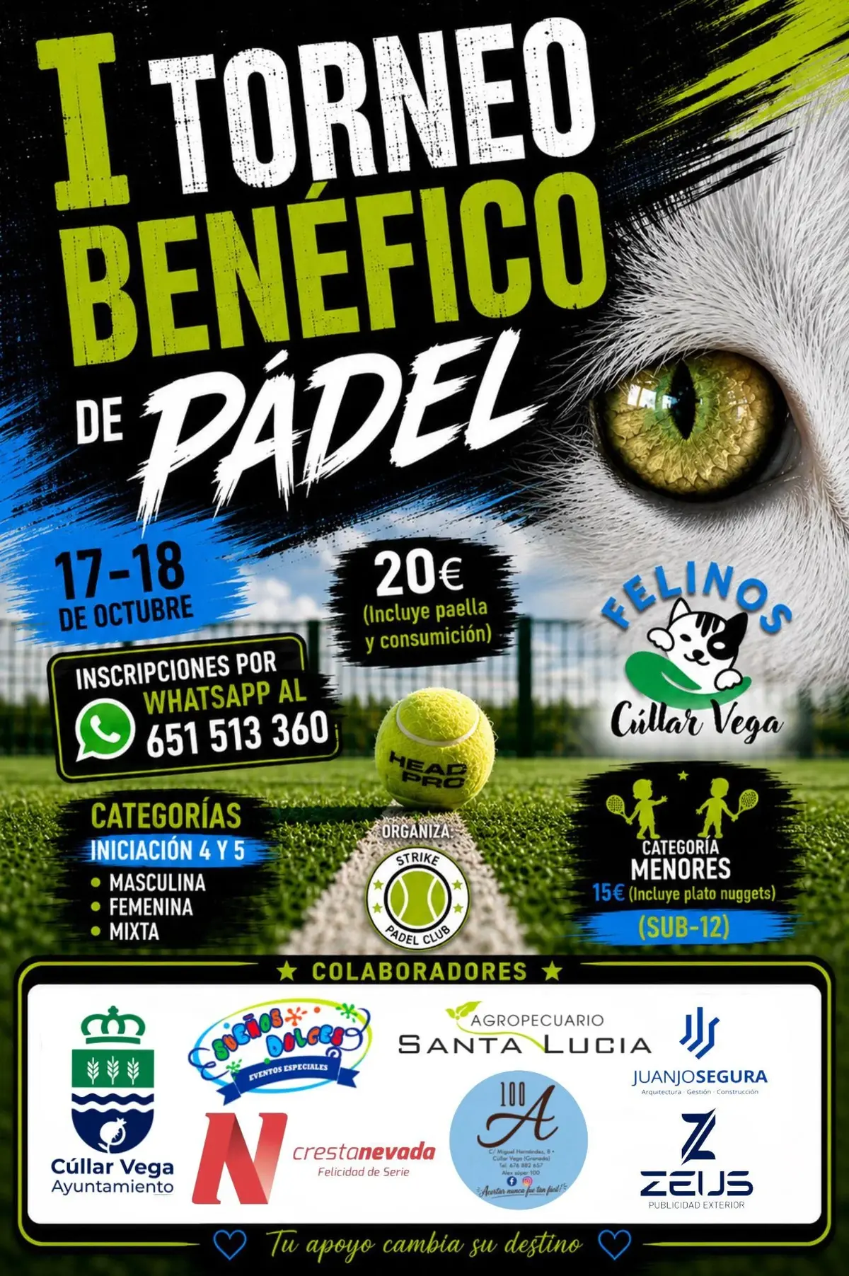 Santa Fe acoge un torneo solidario de pádel en apoyo a Felinos Cúllar Vega