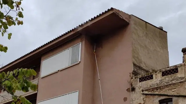 Actúan contra un nido de avispa asiática en un inmueble municipal de Llorenç