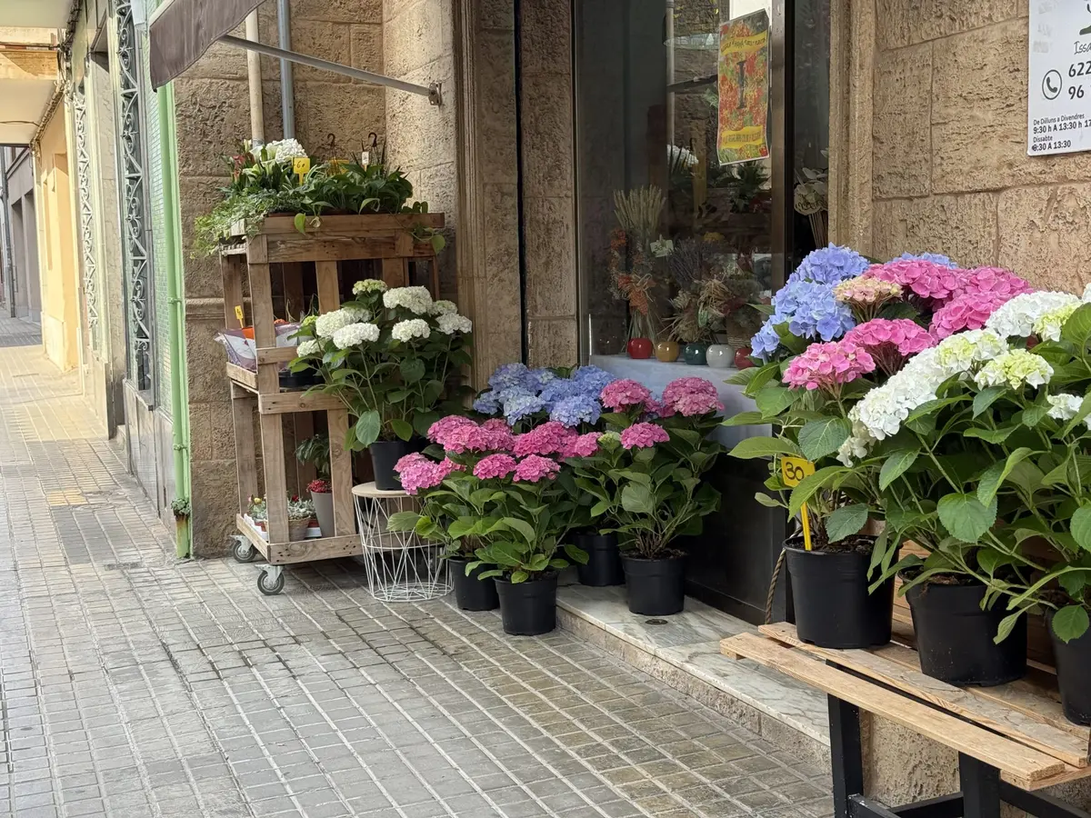 Los 3.000 bonos comerciales de Quart se agotan en ocho horas