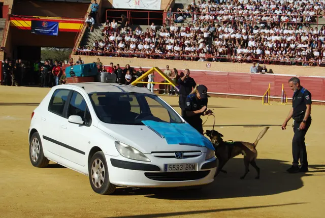 Móstoles pone fin al primer campeonato de guías caninos militares y policiales