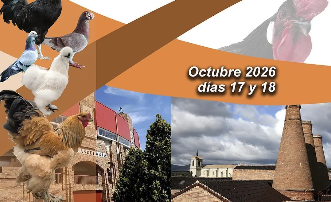 La plaza de toros de Valdemorillo mostrará aves, palomas y conejos
