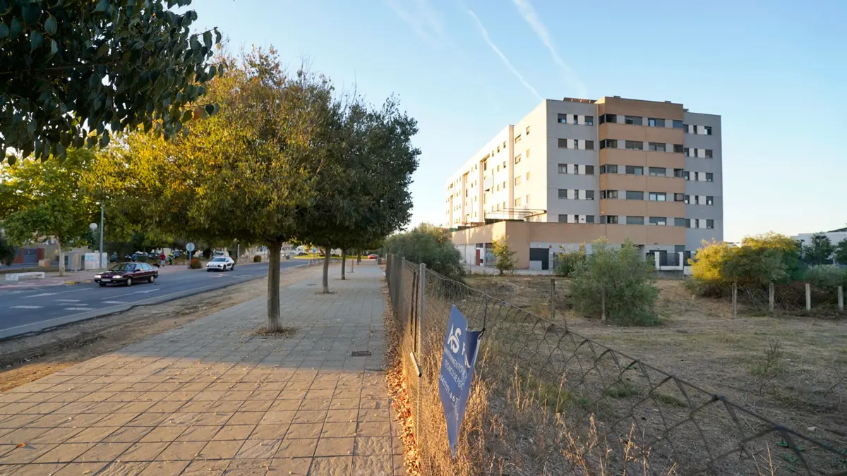 Adjudicadas las obras de 102 viviendas protegidas en Mairena