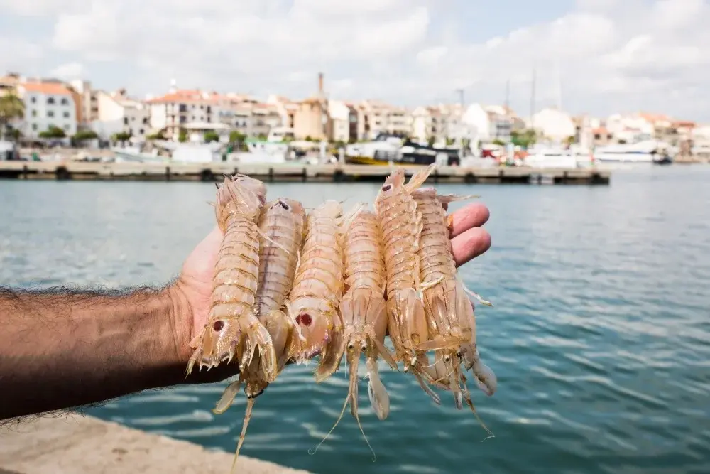 Cambrils será sede de la primera semifinal de Cocinero y Camarero del Año