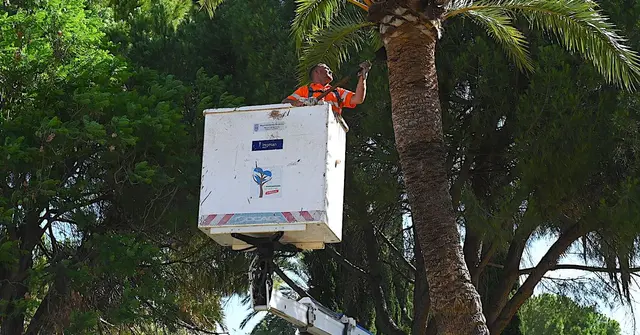 Jerez refuerza la poda del arbolado en sus zonas rurales