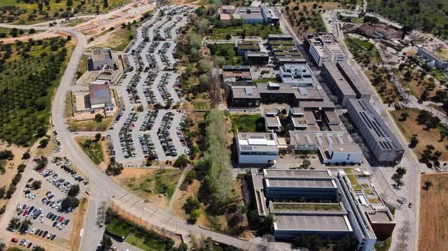 Palma reúne 193 empresas de alto crecimiento, según Cotec