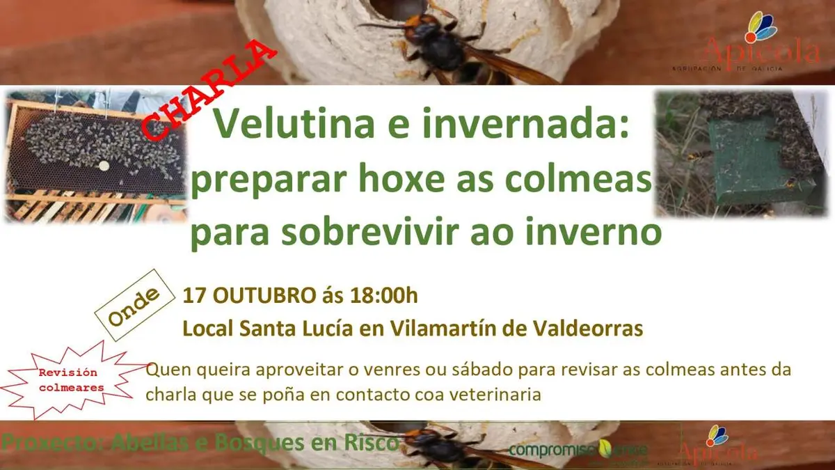 Una sesión online abordará en Vilamartín cómo preparar las colmenas para el invierno