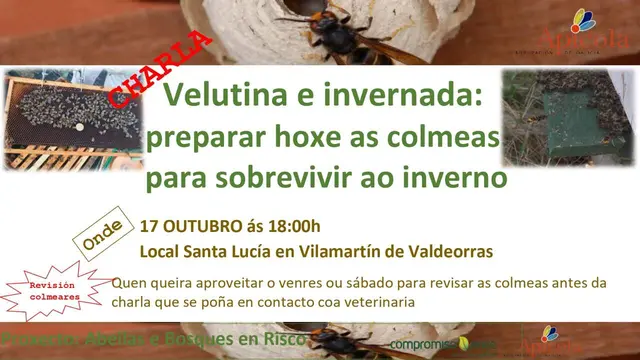 Una sesión online abordará en Vilamartín cómo preparar las colmenas para el invierno