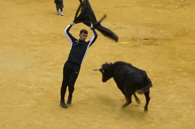 Vaquillas y capea abren la jornada festiva en Alba de Tormes