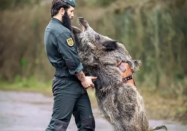 Iratxo, la mascota del GAR con base en Logroño