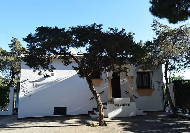 Investigadores documentan un sabinar centenario en Marbella y reclaman su protección